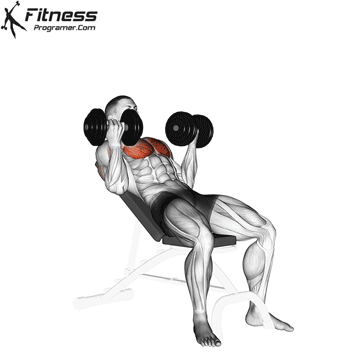 Reverse-Grip-Incline-Dumbbell-Press.gif