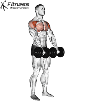 Two-Arm-Dumbbell-Front-Raise.gif