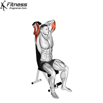 Seated-Dumbbell-Triceps-Extension.gif
