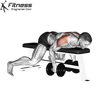 Day 4 - Shoulders + Back