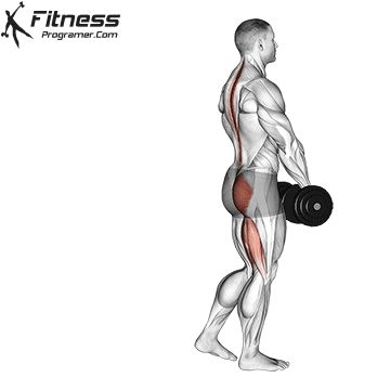 Dumbbell-Single-Leg-Deadlift - Copy.gif
