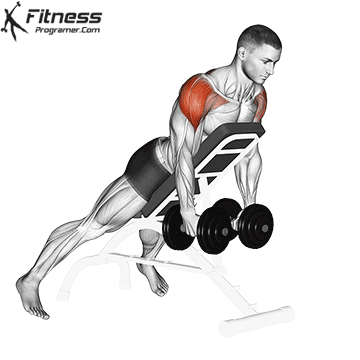 Dumbbell-Reverse-Fly.gif