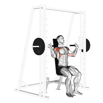 Smith-Machine-Shoulder-Press.gif