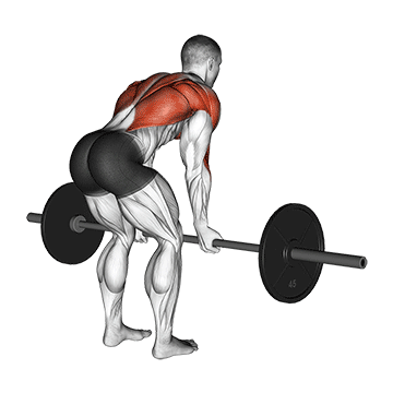 Reverse-Grip-Barbell-Row.gif