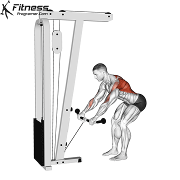 Cable-Bent-Over-Row.gif