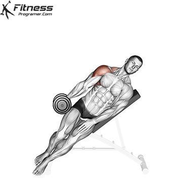 Incline-Dumbbell-Side-Lateral-Raise.gif