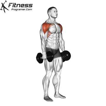 Dumbbell-Lateral-to-Front-Raise.gif