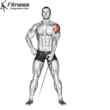 Cable-Lateral-Raise.gif