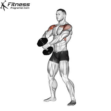 Dumbbell-Front-Raise.gif