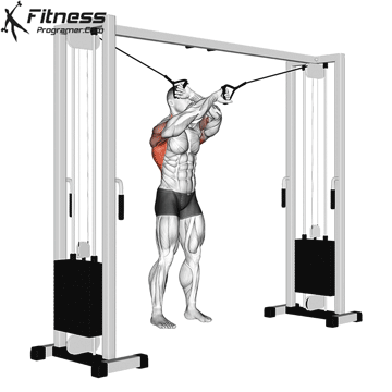 Full-Range-Of-Motion-Lat-Pulldown.gif