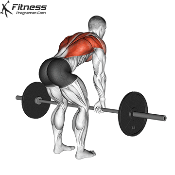 Barbell-Bent-Over-Row.gif