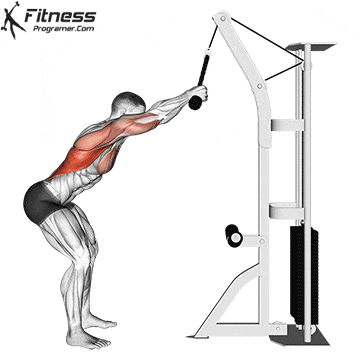 Rope-Straight-Arm-Pulldown.gif