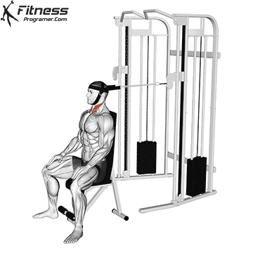 Cable-Seated-Neck-Flexion-with-head-harness.gif