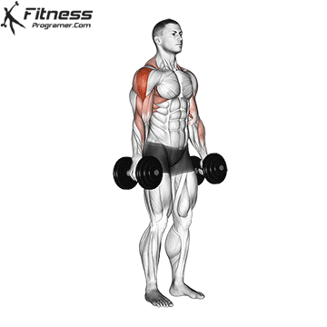 Day 4 - Shoulders + Back