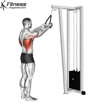 Cable-Straight-Arm-Pulldown.gif