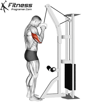 One-arm-triceps-pushdown.gif