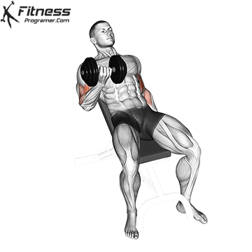 Seated-Incline-Dumbbell-Curl.gif