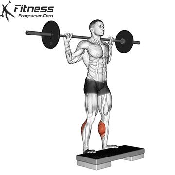Standing-Barbell-Calf-Raise.gif