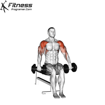 Dumbbell-Seated-Cuban-Press.gif