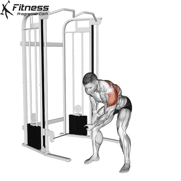 Day 4 - Shoulders + Back