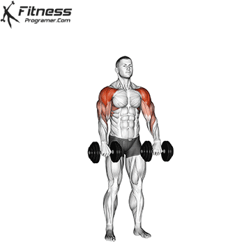 dumbbell-cuban-press-.gif