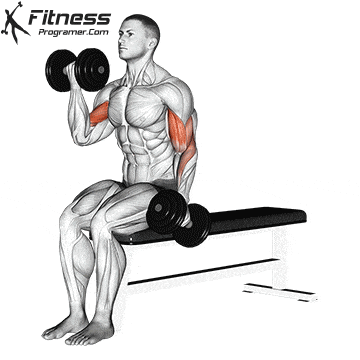 Seated-dumbbell-alternating-curl.gif