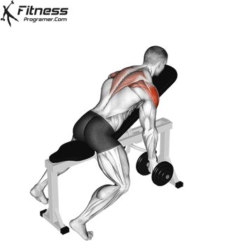 Dumbbell-Incline-T-Raise.gif