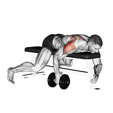 Dumbbell-Lying-One-Arm-Rear-Lateral-Raise.gif