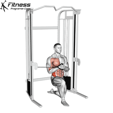 Cable-Half-Kneeling-Pallof-Press.gif