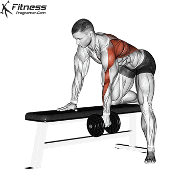 Dumbbell-Row.gif