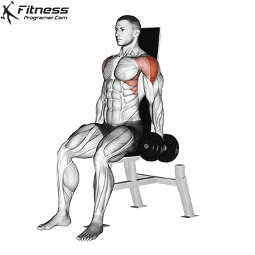 Seated-Dumbbell-Lateral-Raise.gif