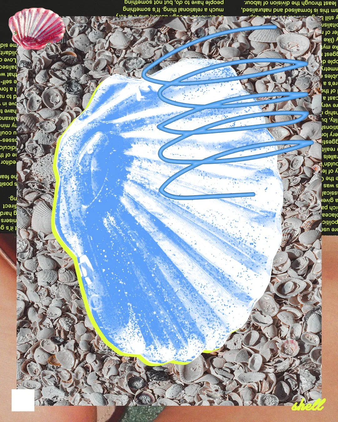 Georgia-Pedley-Illustration-Shell.jpg