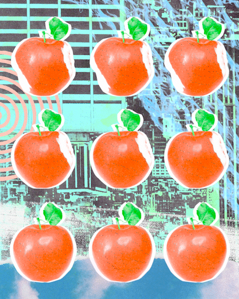 Georgia-Pedley-Illustration-Apple.gif