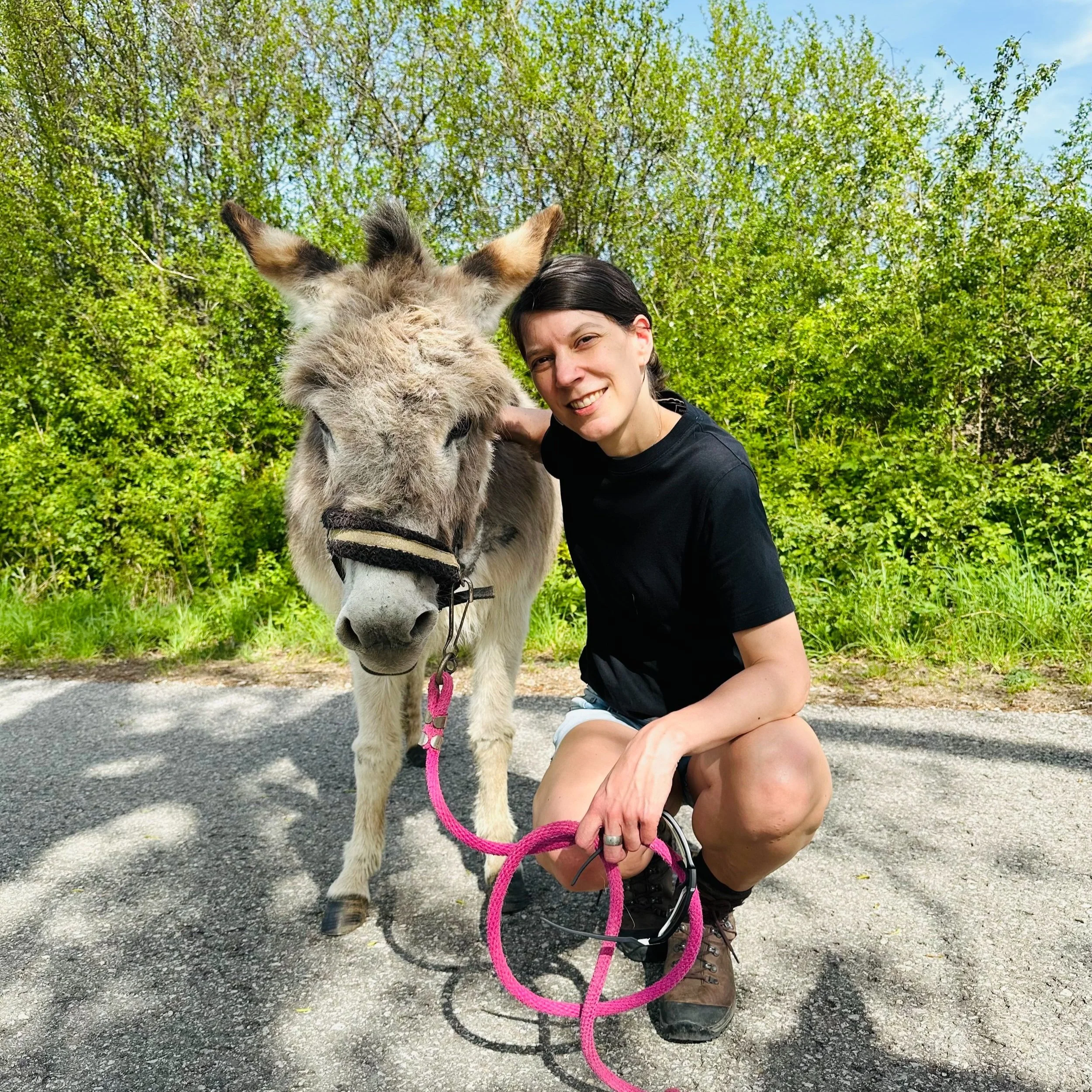 Die Sache mit dem Esel: Ein Perspektivwechsel bei negativen Glaubenssätzen
