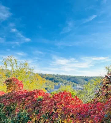 Herbst als Symbol für Neuanfang, persönliche Entwicklung und neue Perspektiven