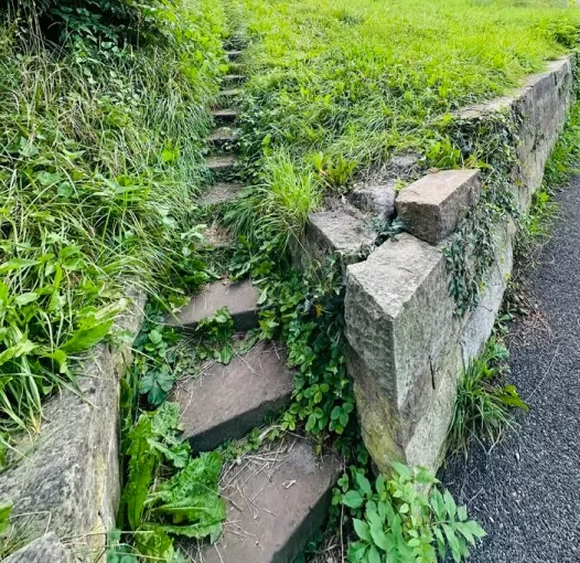 Eine Treppe durch eine ruhige Naturlandschaft als Symbol für den Weg, gesunde Grenzen zu setzen und den Selbstwert Schritt für Schritt zu stärken.