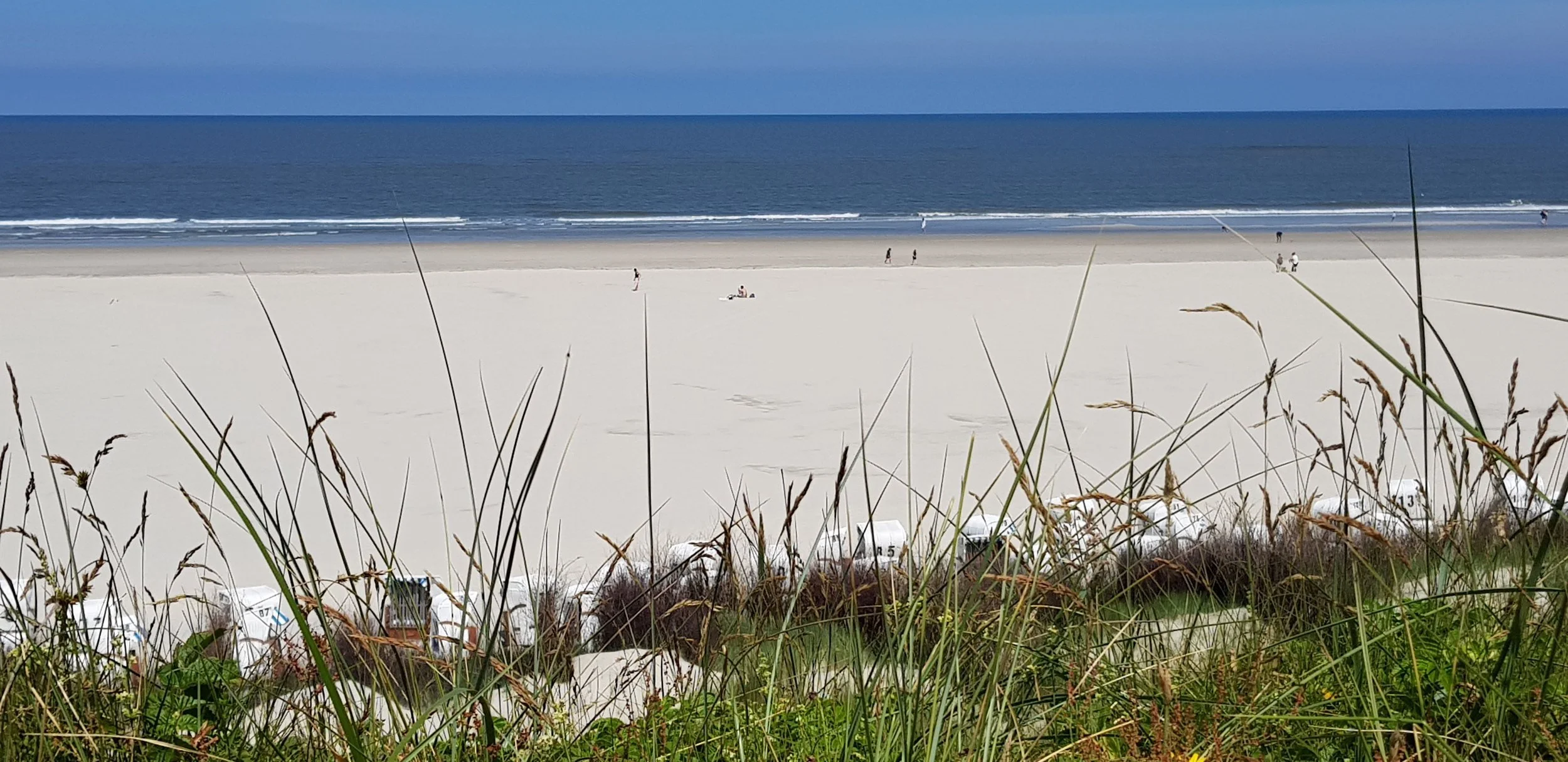 Dünengras vor Sandstrand und Meer, ruhige Naturlandschaft zur Unterstützung von Achtsamkeit, Stressabbau, Selbstfürsorge und dem Setzen gesunder Grenzen im Berufsalltag von Führungskräften
