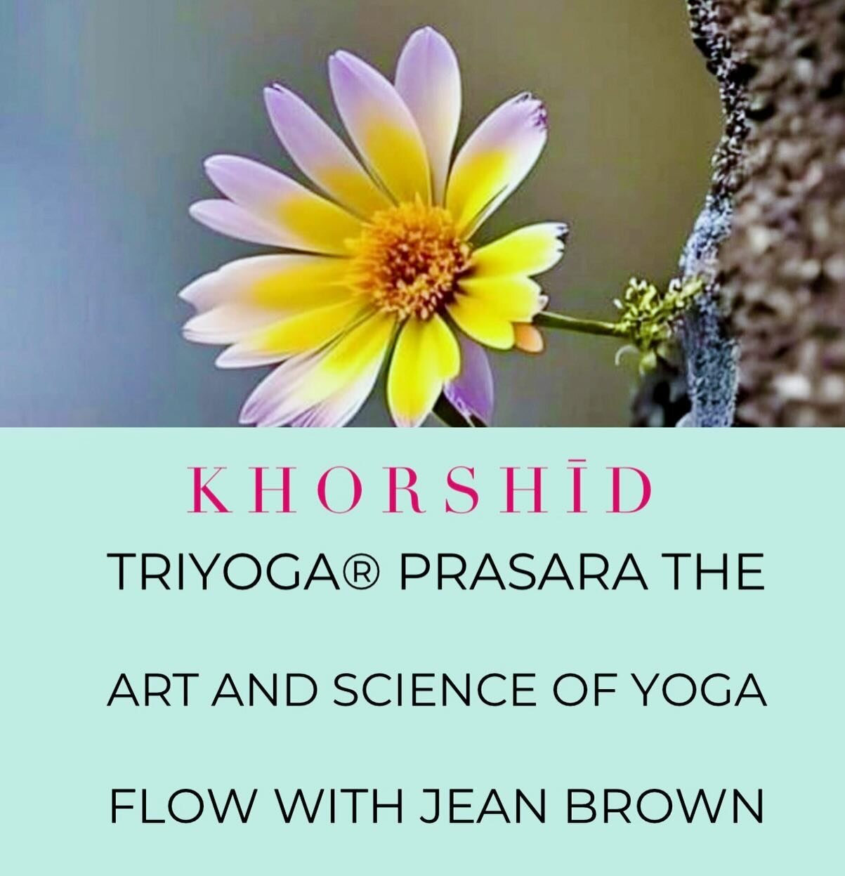 TRIYOGA&reg; PRASARA 
The Art and Science of Yoga Flow with Jean Brown
4 weekly sessions | 120 min each | Sunday | 2 to 4 PM 

March 10th, 17th, 24th and 31st

Wave or flow &bull; Transformation &bull; Deep Relaxation &bull; The Tai Chi of yoga &bull