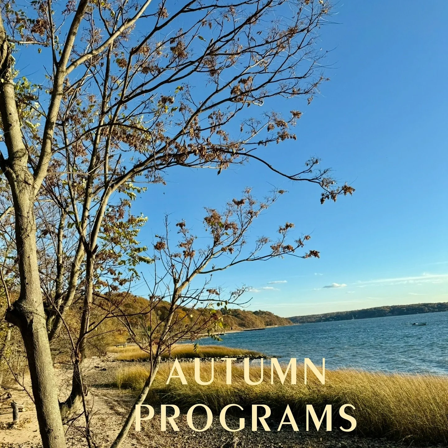 Autumn 2025 Programs 

Autaumn Equinox is au rendez-vous. September 22 marked the beginnjng of Fall. A moment of perfect equilibrium between external experiences and inner spiritual journeys, providing an opportunity for reflection and alignment. 
Th