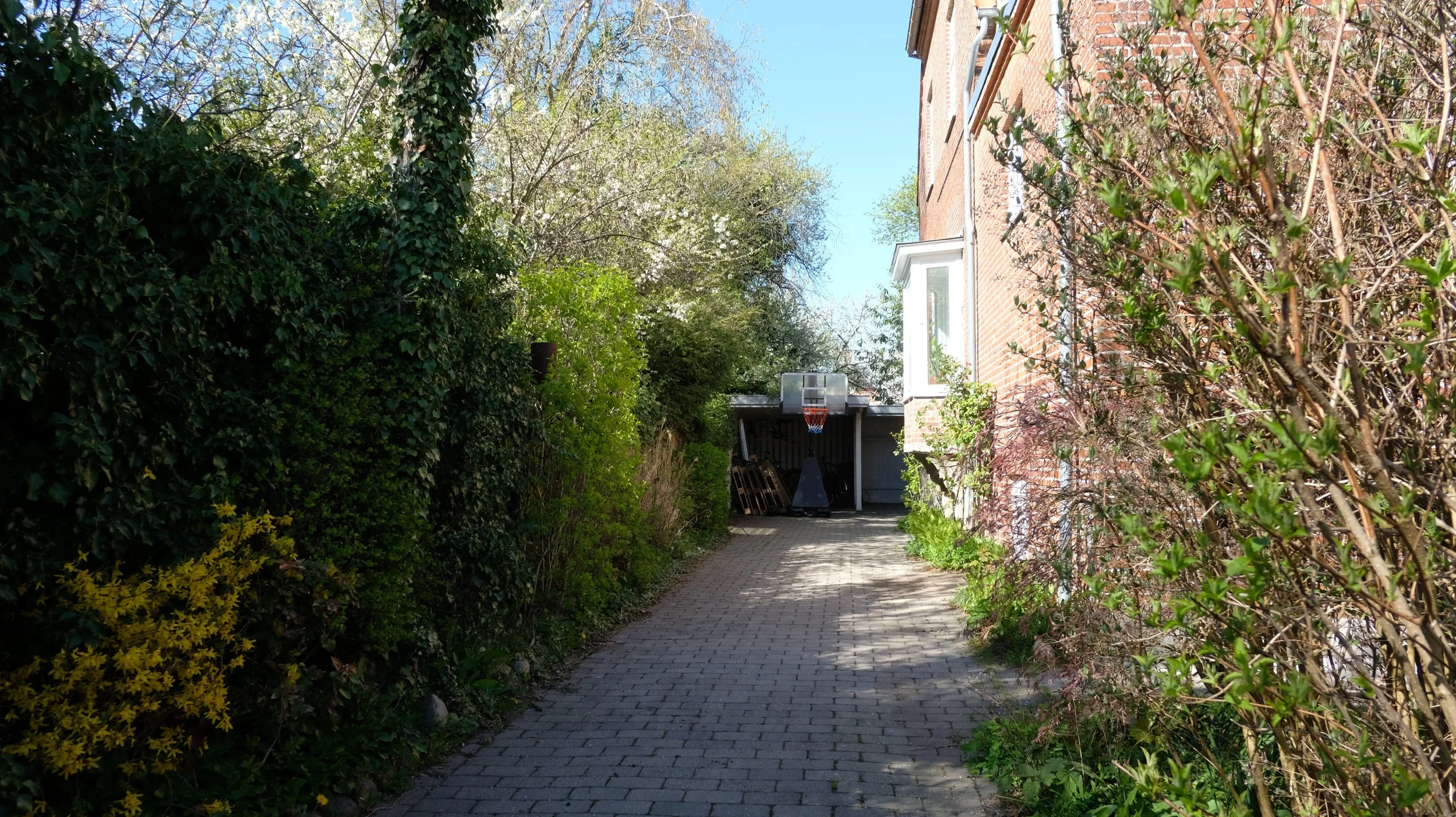 01_S05_2900_Boissons_72.jpg