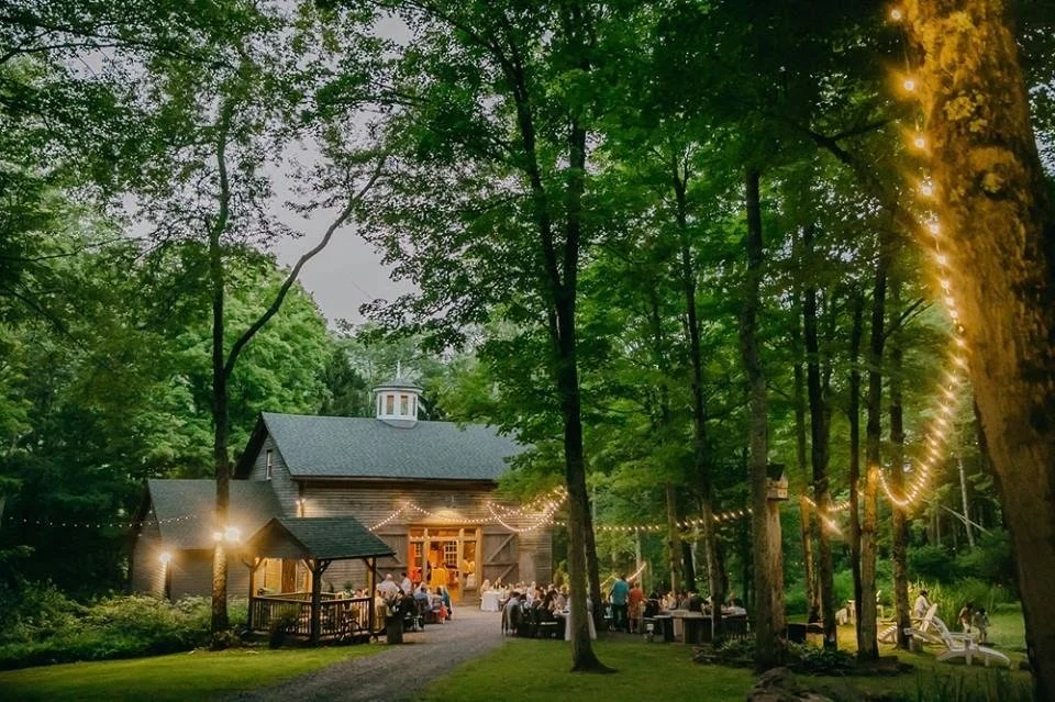 String lighting through forest wedding venue trees