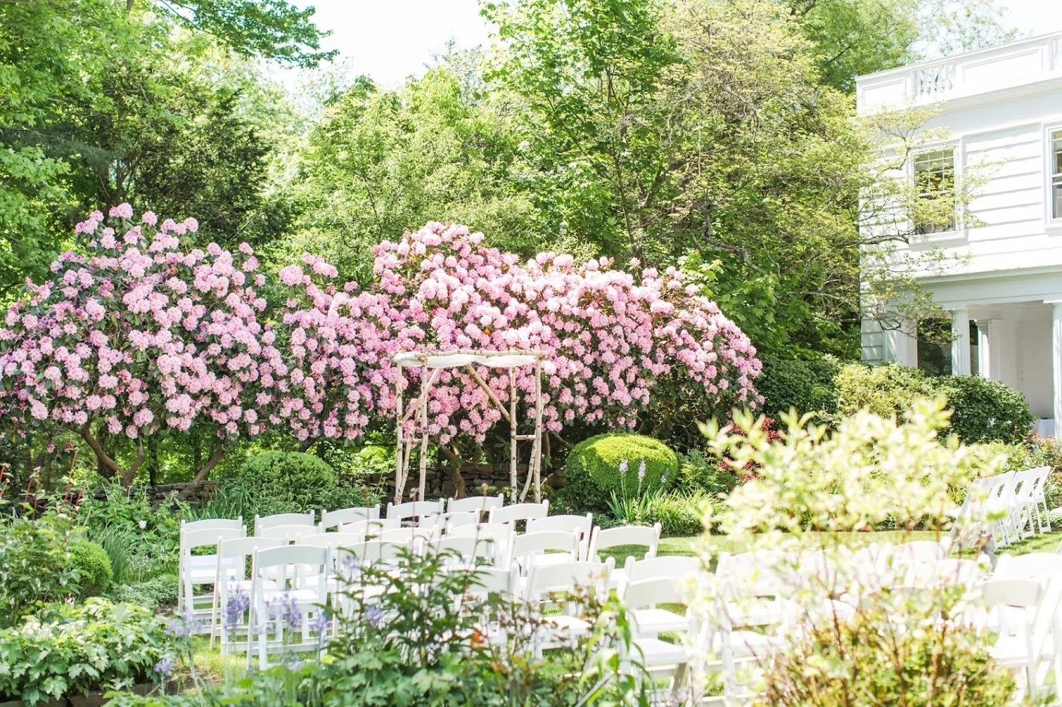 Wedding ceremony site backed by blooming rhododendrons