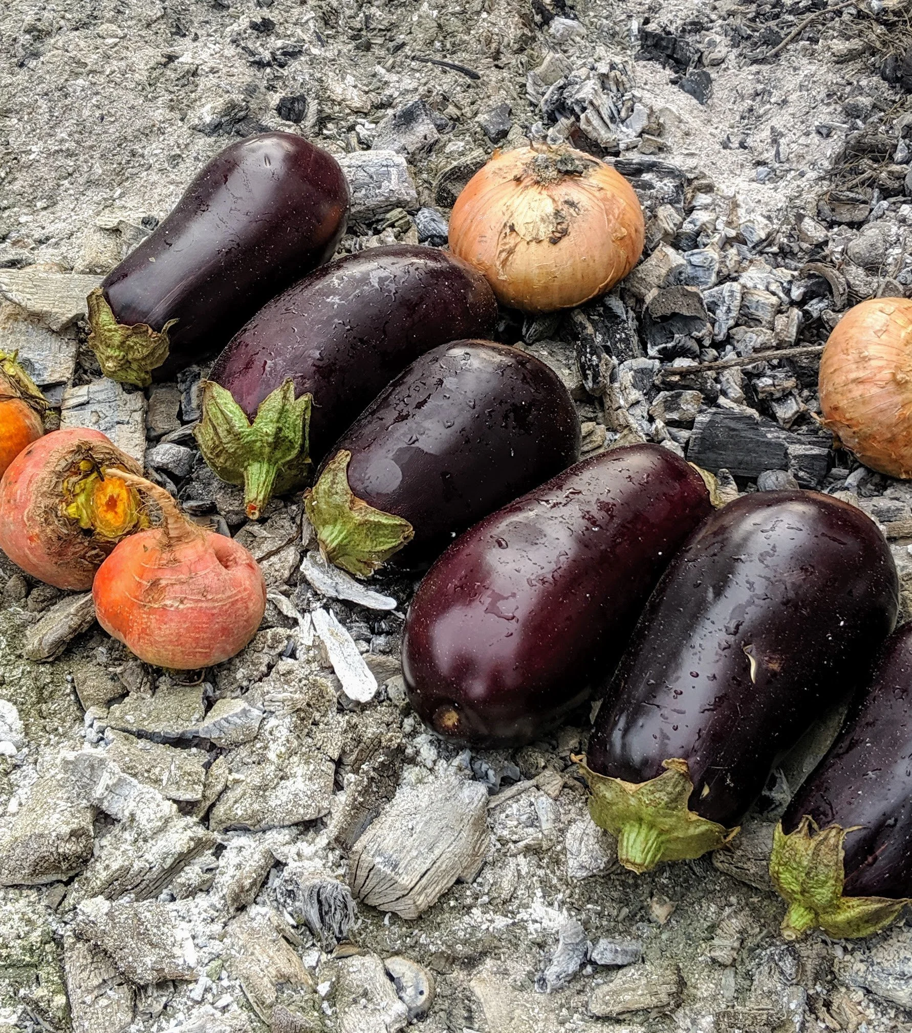 Eggplants cooked in embers, open-fire BBQ technique