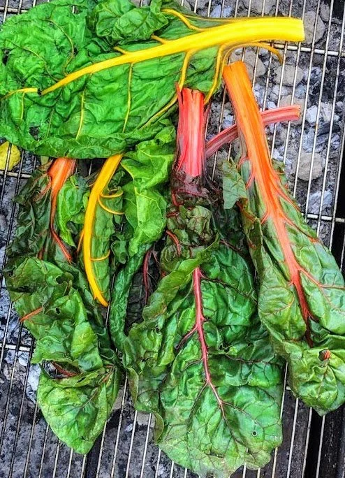 Rainbow chard wilted over open fire, BBQ catering side