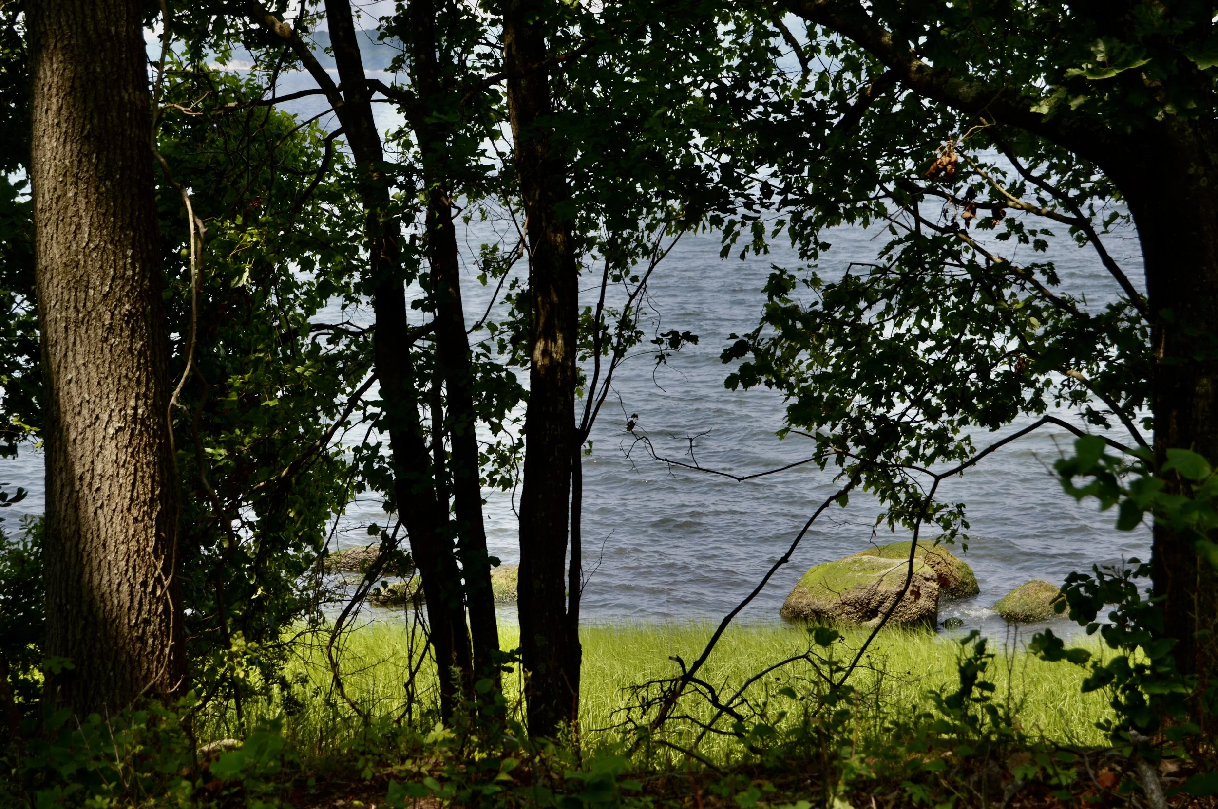 DSC_7556.jpeg
