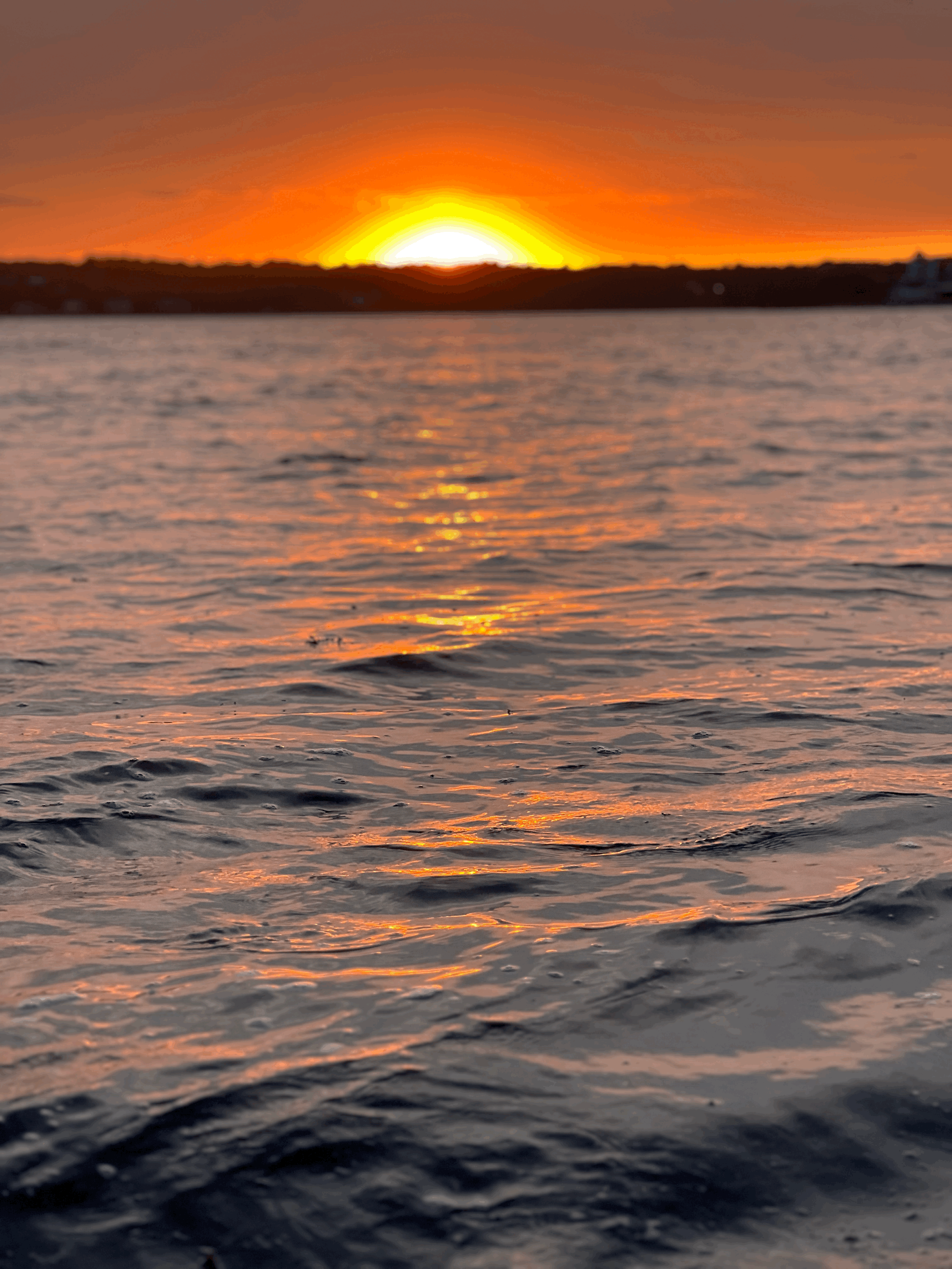 Back to the Bay: Rediscovering Our Coastal Connection