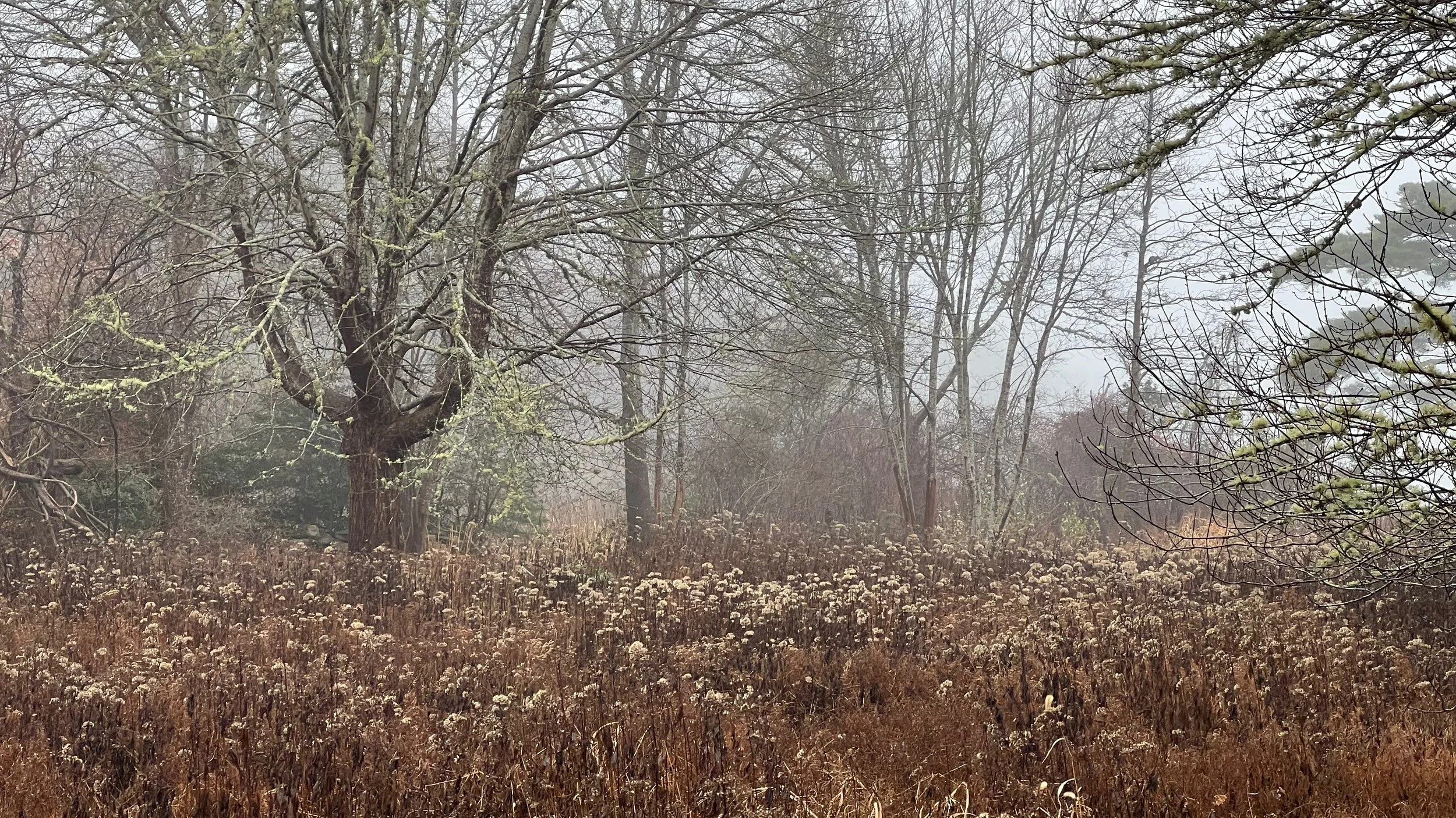 What is a land trust? — Tiverton Land Trust