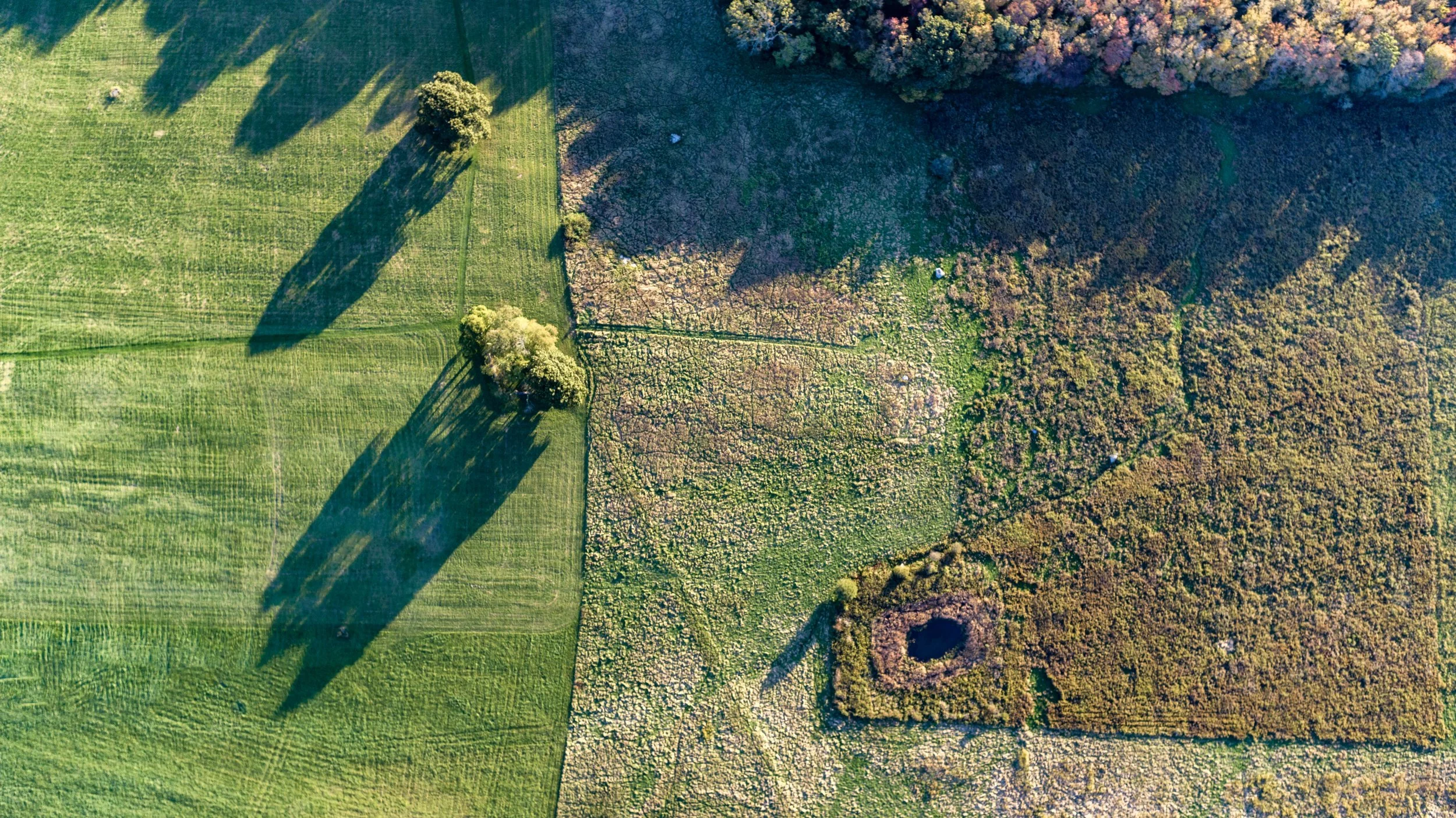 Benefits of Land Protection — Tiverton Land Trust