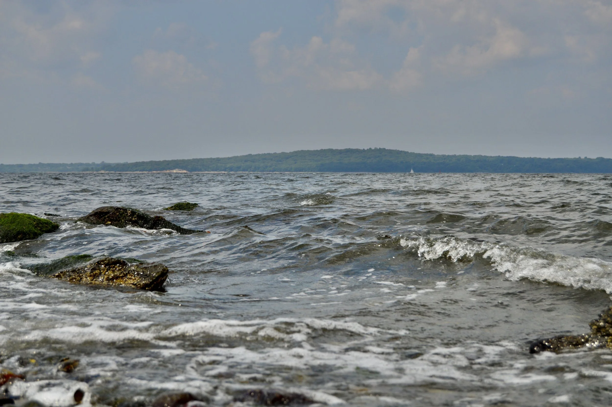 DSC_7574.jpeg