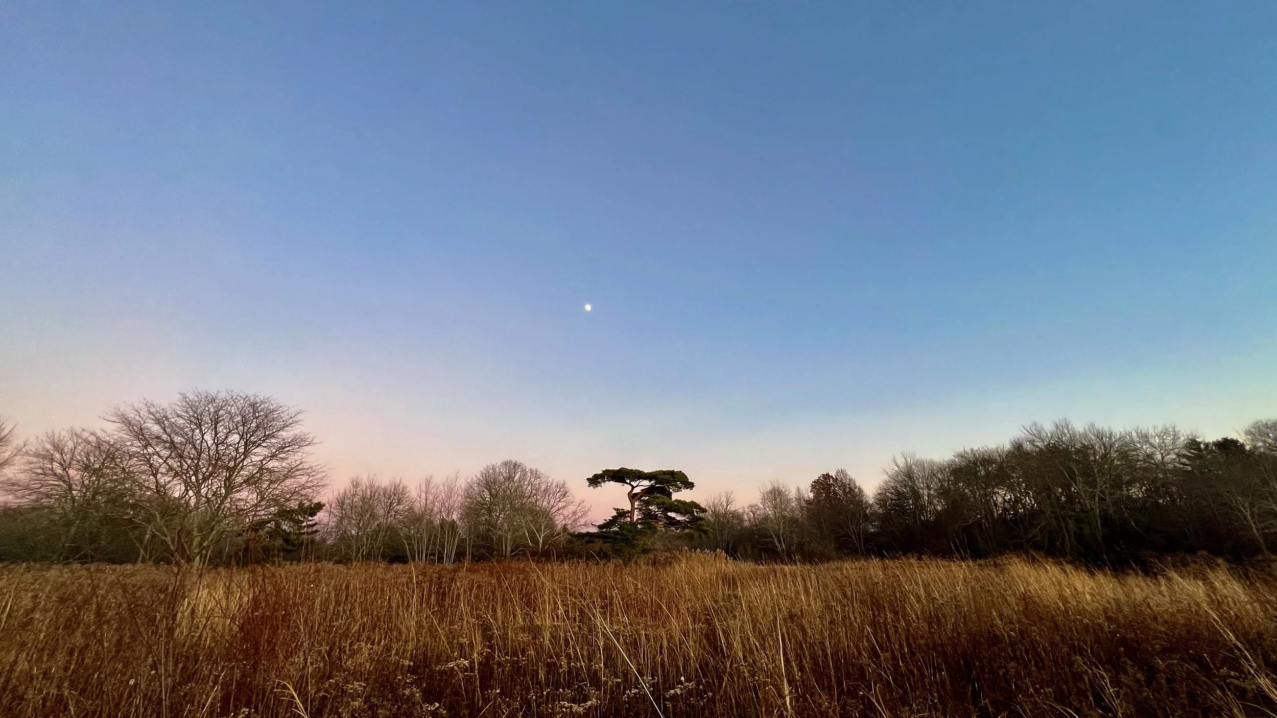 Donate Your Land — Tiverton Land Trust